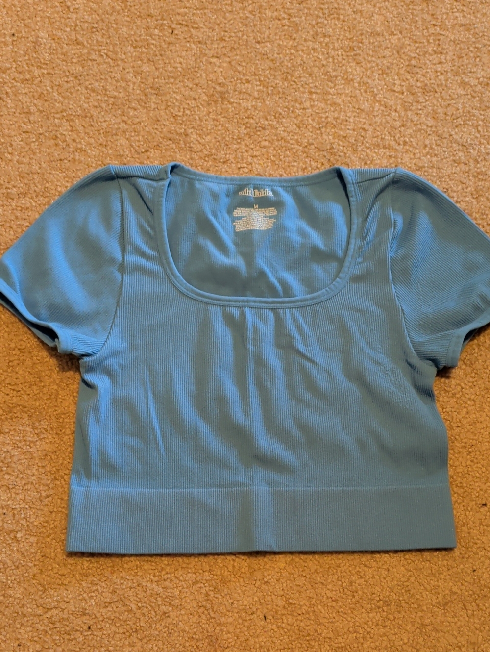 wild fable Bright Blue Ribbed Scoop Neck Crop Top